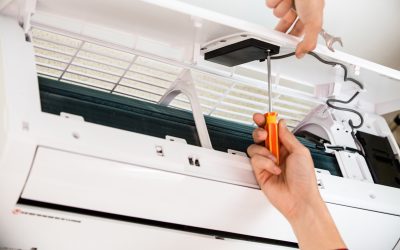 Animal Hair Alert: The Surprising Impact On Your AC Filter Performance